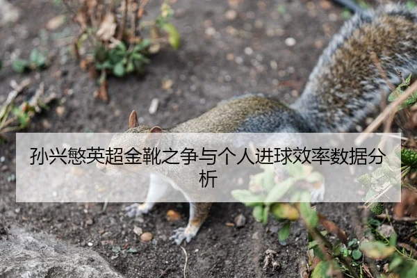 孙兴慜英超金靴之争与个人进球效率数据分析（loljiangcai）